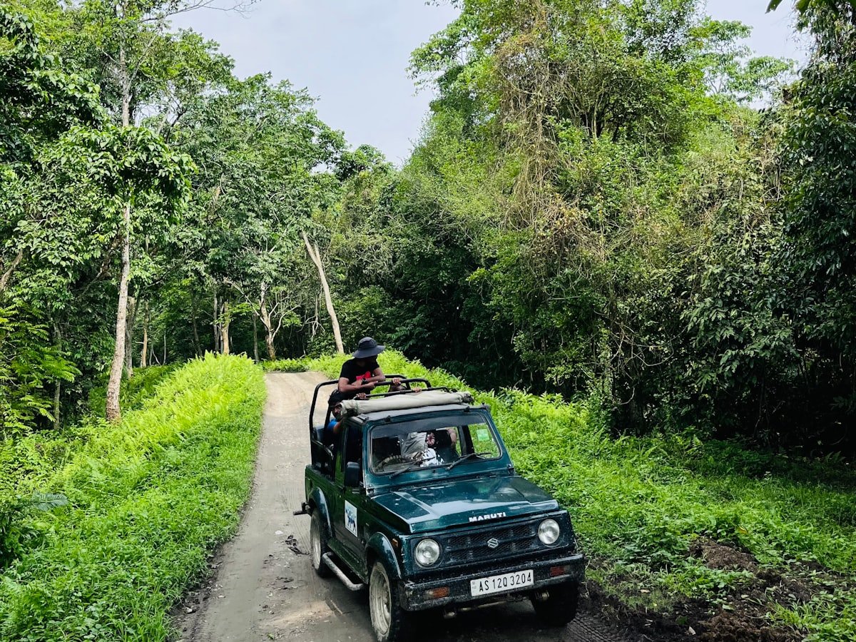An open safari jeep carrying guests along a narrow track through dense green forest