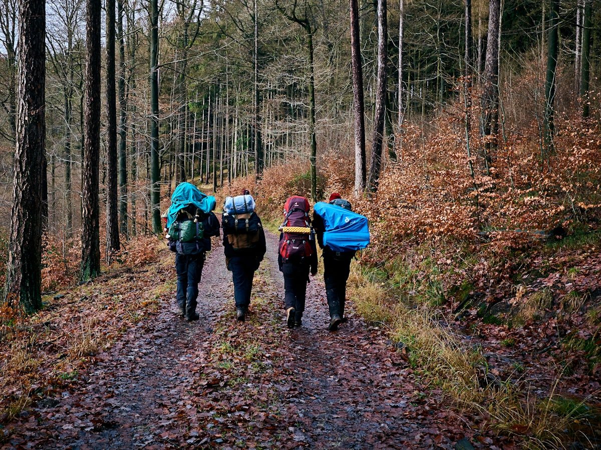 Four walkers with backpacks heading away down a damp, leaf-covered forest track
