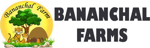 Bananchal Farms